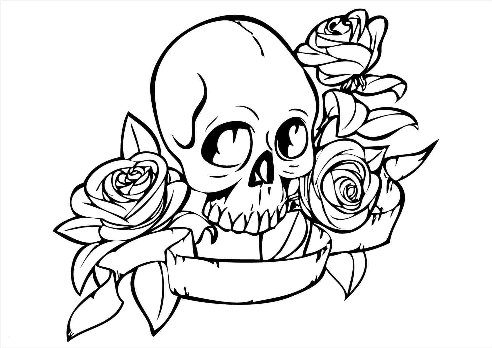 1899x1342 Easy Skull And Rose Drawing