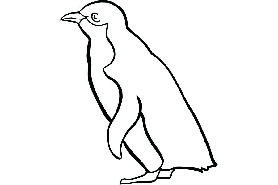 900x600 penguin drawing draw baby penguin pattern penguin drawing game