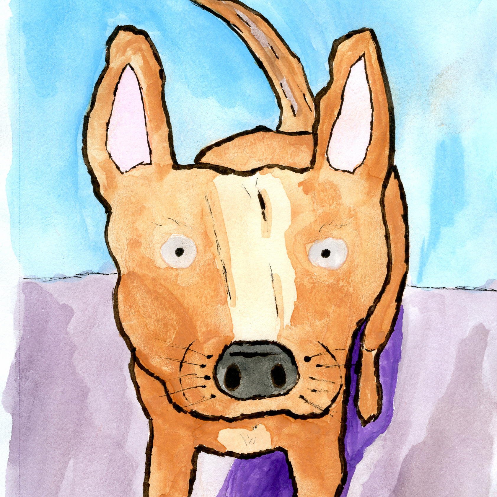 1683x1683 Latest Posts Sikkdays Labs