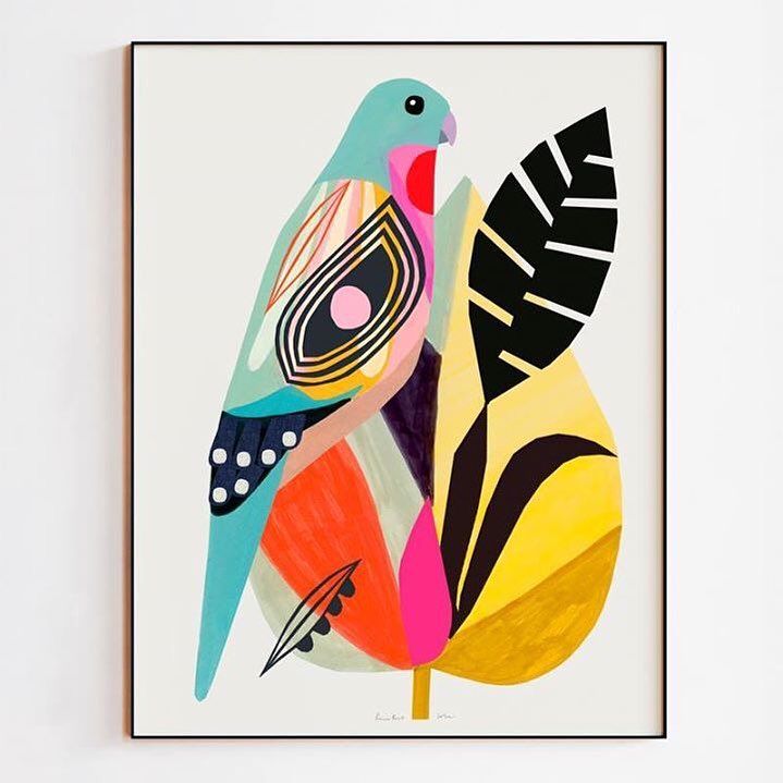 719x719 Princess Parrots Are So Beautiful, It Was Only A Matter Of Time