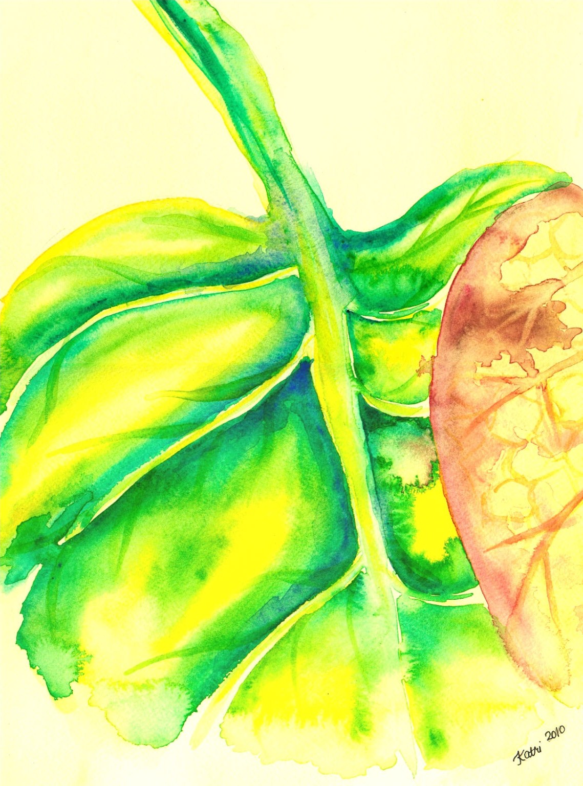 1139x1536 Rhubarb Leaf And Other Watercolors