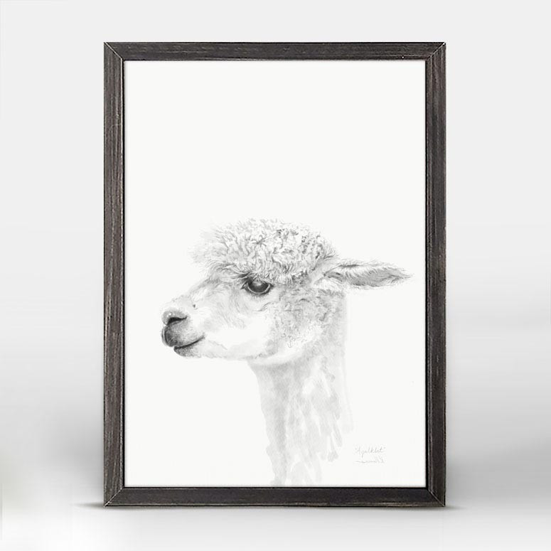 775x775 Llama Draw You A Portrait