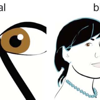 320x320 Vector Compare To Bitmap Download Scientific Diagram