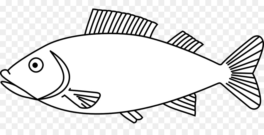 900x460 Drawing, Fish, White, Transparent Png Image Clipart Free Download