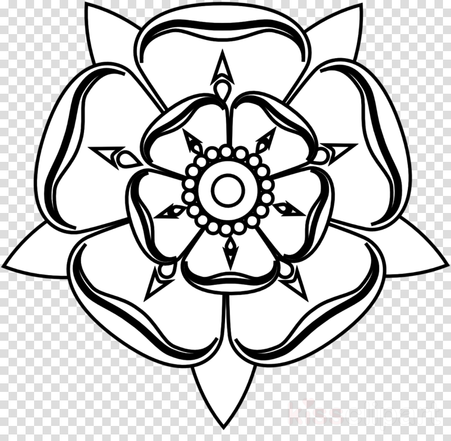 900x880 Drawing, White, Flower, Transparent Png Image Clipart Free Download