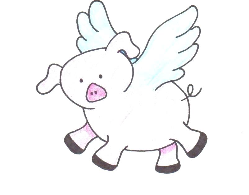 802x631 Parrot Drawing For Kids