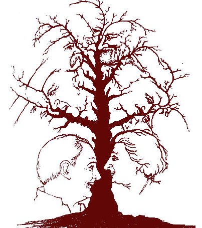 403x455 Can You Spot The Ten Faces In The Tree