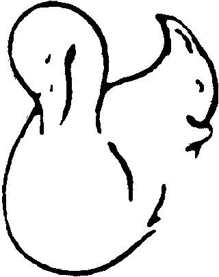 320x405 Brain Teasers In Illusions