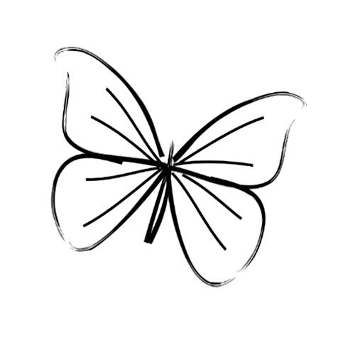 500x482 Simple Butterfly Line Drawing Card Ideas Simple Butterfly