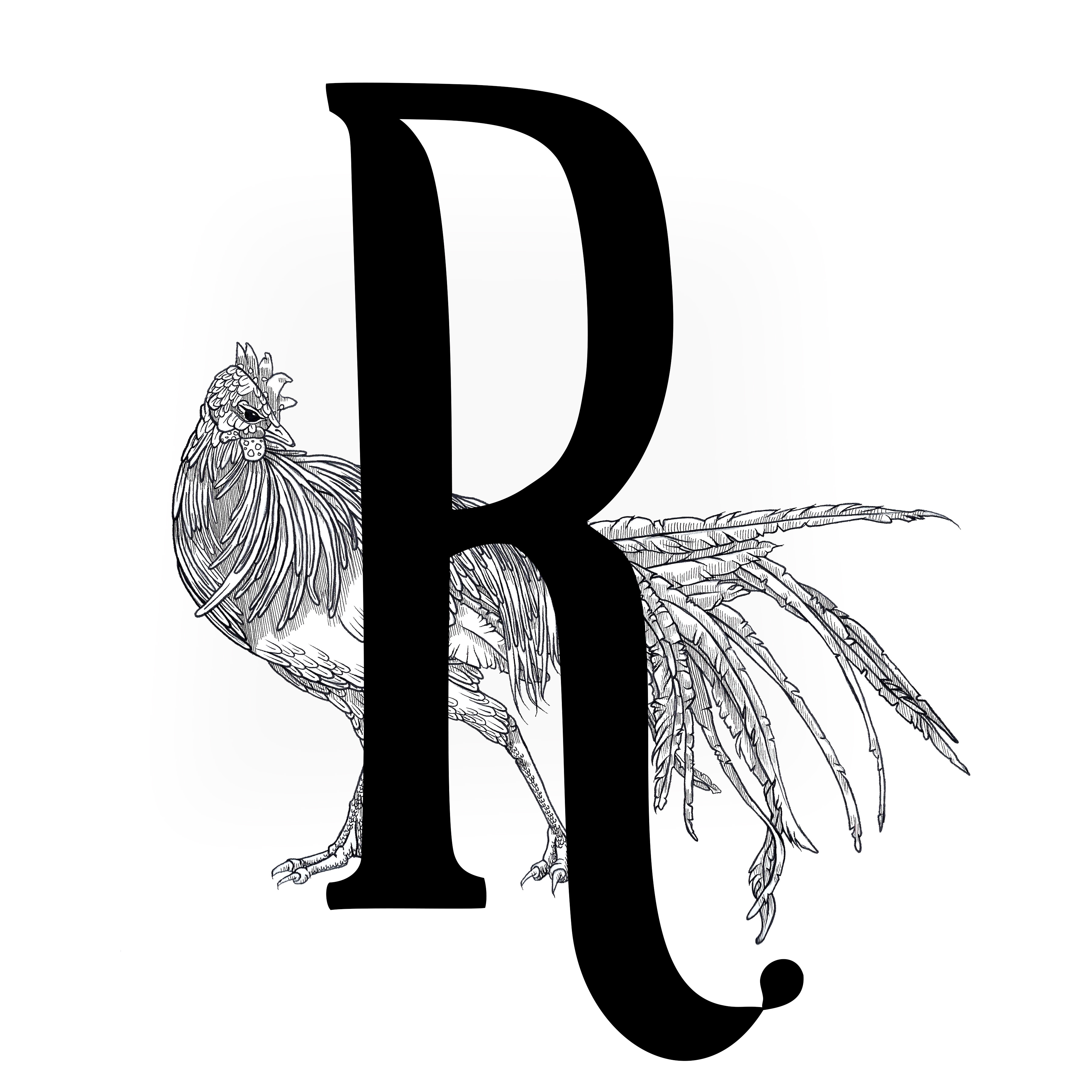 3600x3600 The Day Project Days Present The Artsy Rooster Studio