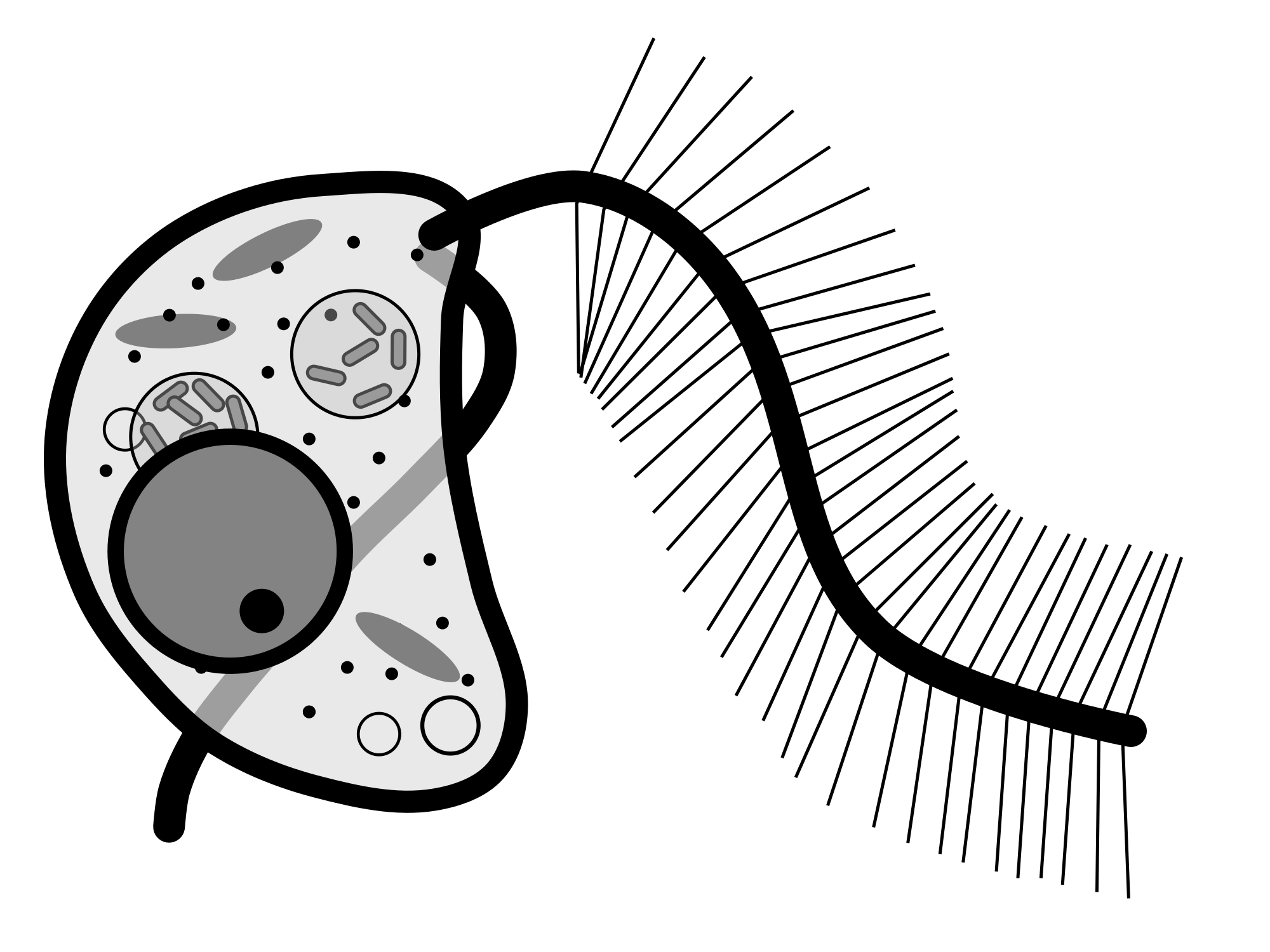 2000x1500 Collection Of Free Cafe Drawing Scene Download On Ui Ex