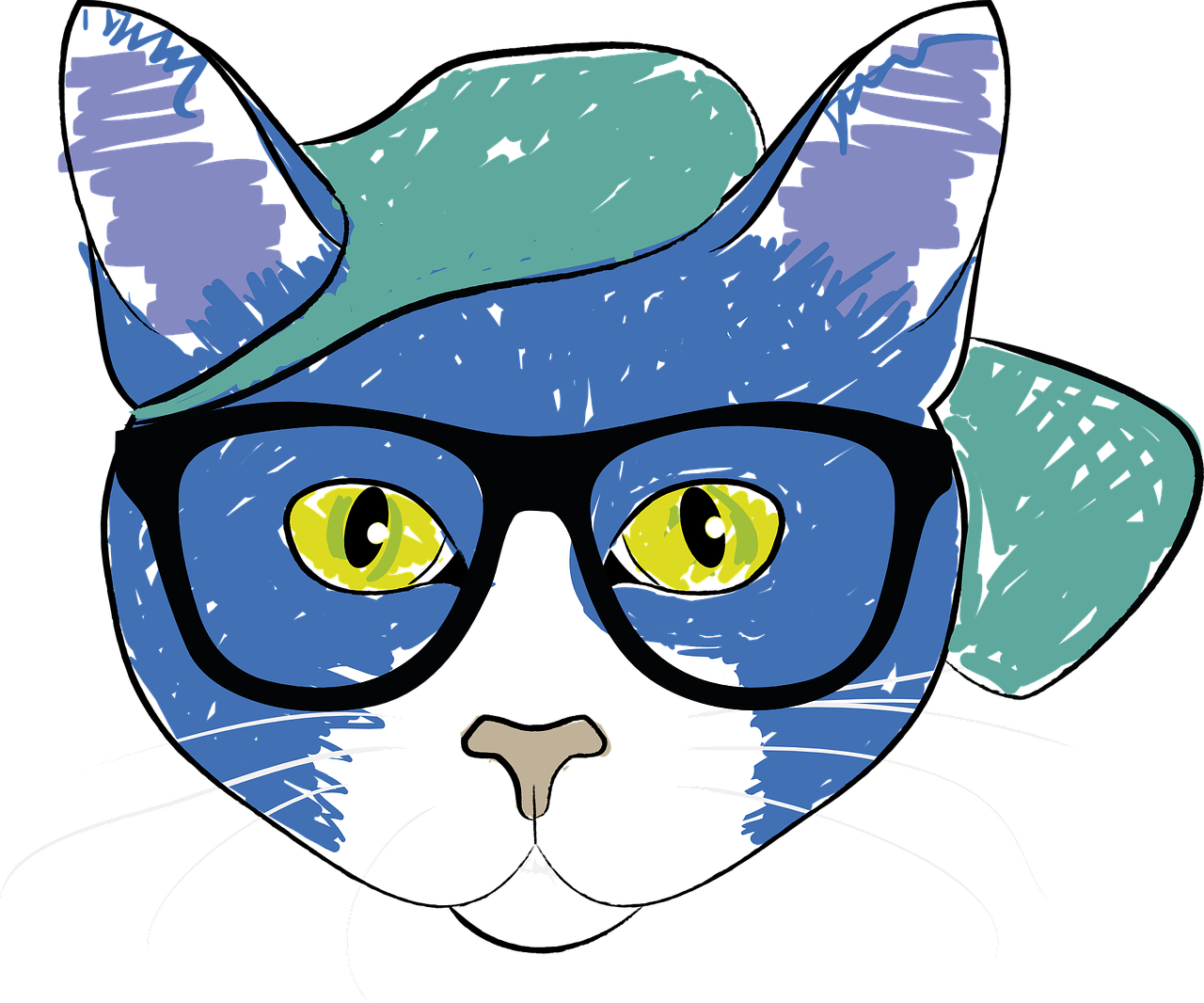 1280x1066 A Cat Person's Guide To Finding Glasses That Fit Your Cat