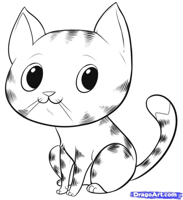 600x655 Simple Cat Drawing Examples Anyone Can Try