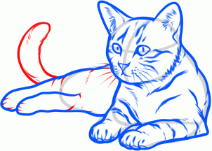 302x216 How To Draw A Cat Steps