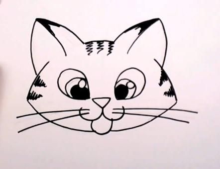 442x340 Draw Cats Cat Face Drawing, Simple Cat