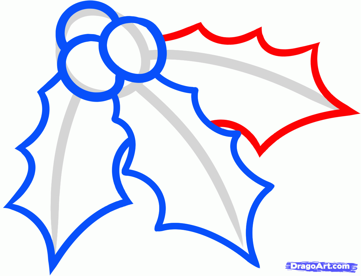 1175x898 How To Draw Christmas Holly, Step