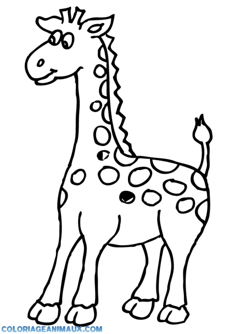 512x682 Circus Animals