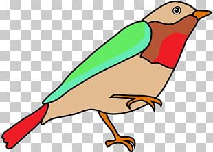 310x222 Hummingbird Drawing Tattoo Color Png, Clipart, Animals, Beak, Bird