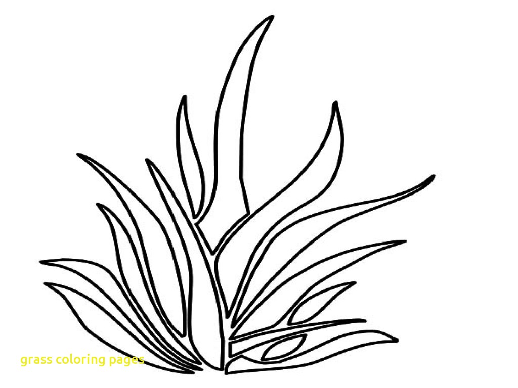 1024x768 Grass Drawing Color For Free Download