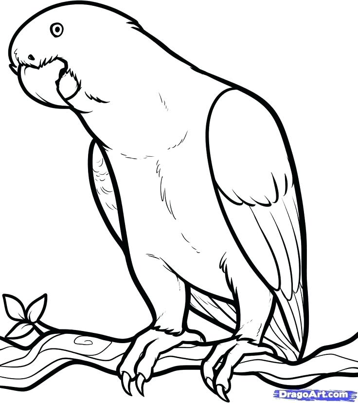 736x828 Draw Coloring Pages Coloring Pages To Draw Coloring Pages Drawing