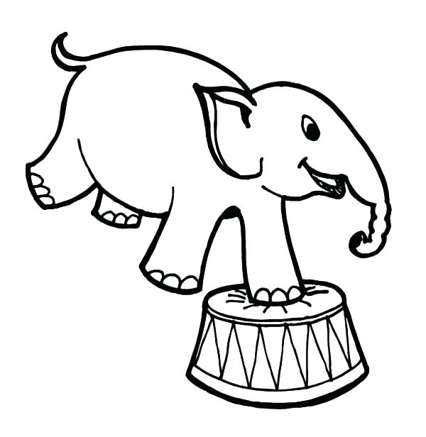 600x616 Fun To Draw Elephant