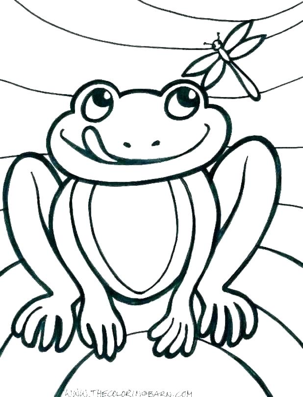 618x810 Coloring Pages Draw A Toad