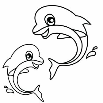 336x336 Dolphin Drawing Template Clipart Colour Video Blue Simple Baby