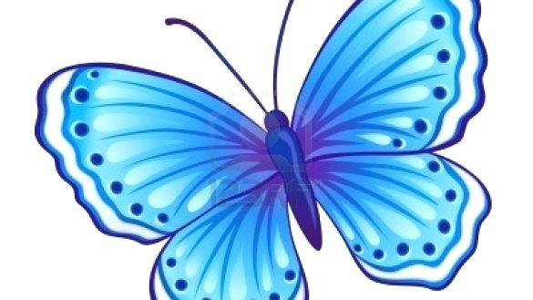 585x329 How To Colour Butterfly Butterfly Drawings In Color Memes With How