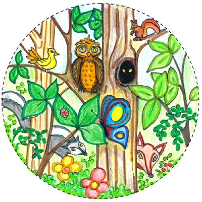 700x701 Biodiversity Drawing Competition Ideas For Kids Rutva