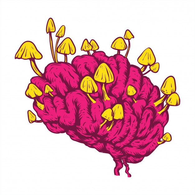 626x626 Mushroom Brain Line Art Hand Drawing Concept Vector Premium Download