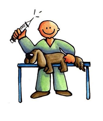 338x400 Follow Instructions Crossword Clue