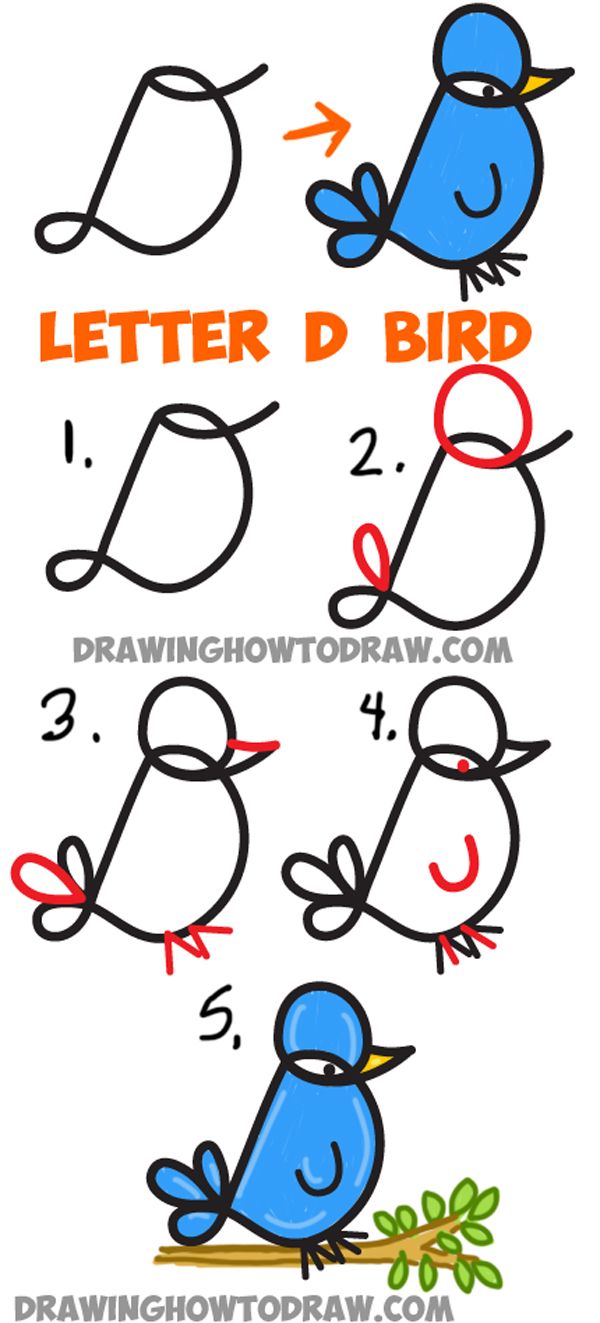 600x1323 How To Draw Cursive Uppercase Letter D Cartoon Bird
