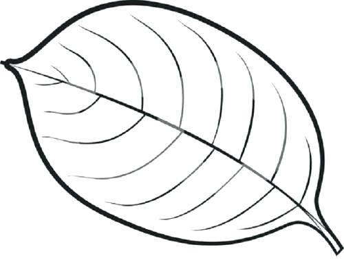 500x391 Images Of Printable Leaf Template Jungle Free Leaves Drawing