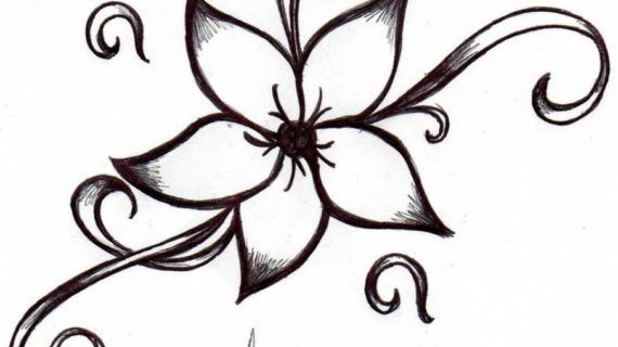 570x320 Easy Pencil Drawing Simple Flower Drawing Designs