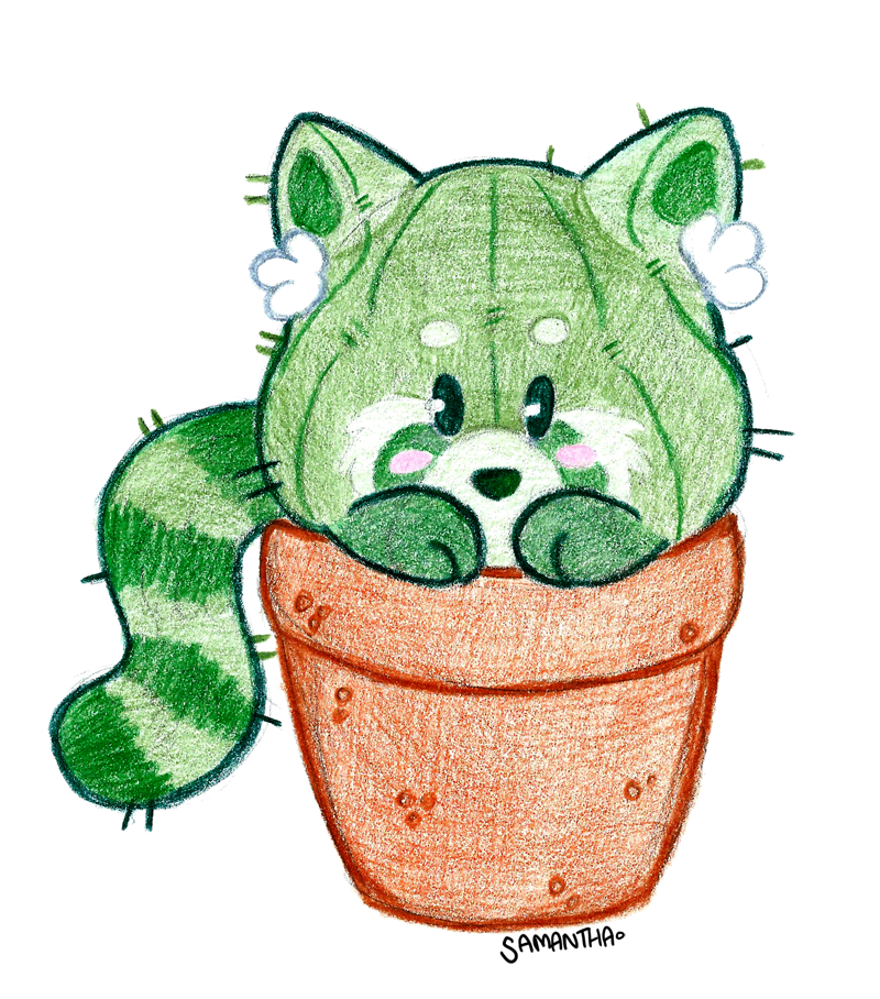 800x908 Samantha Scribbles Red Panda Cactus From My Drawing Diary