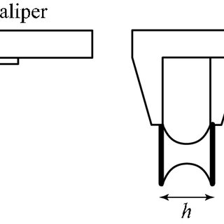 320x320 Drawing Of A Catenoid Showing The Three Parameters