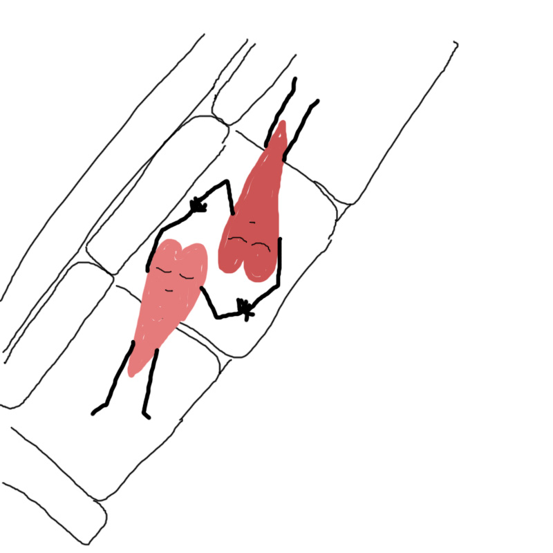 800x800 when you are in a long distance make or break