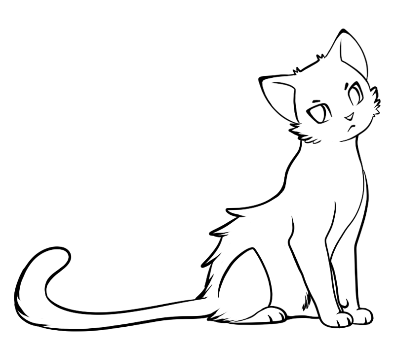 800x700 Free Cat Drawing Download Free Clip Art Free Clip Art On Clipart
