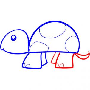 302x302 How To Draw How To Draw A Turtle For Kids