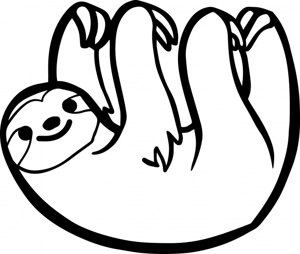 615x521 Sloth Drawing Free Stock Photo