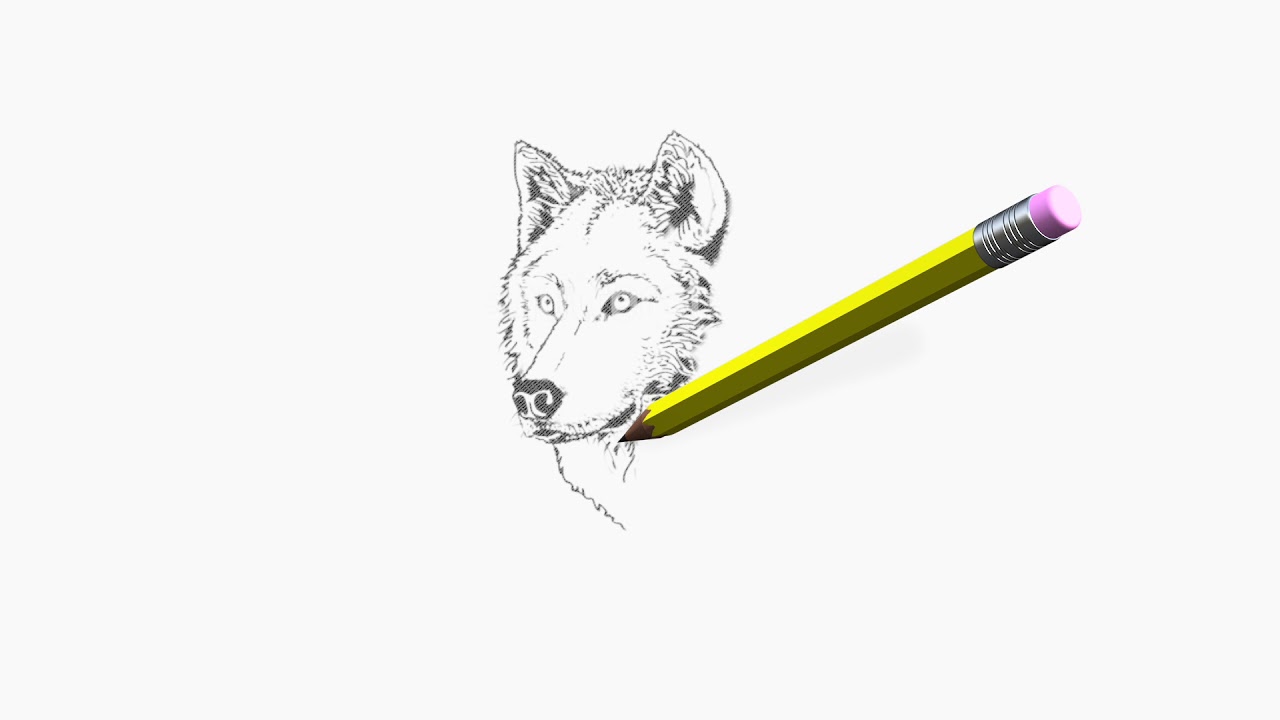 1280x720 Pencil Drawing Effect