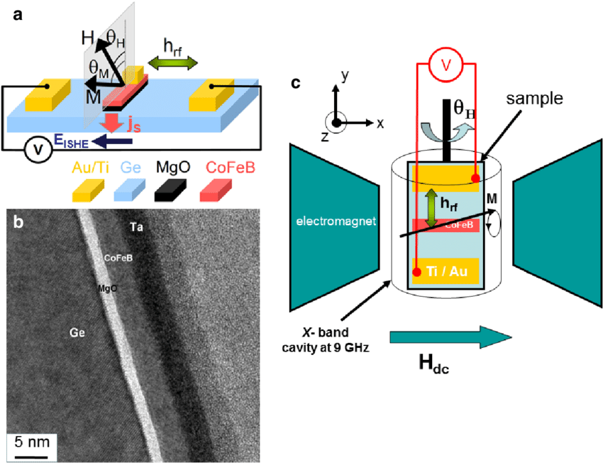 850x652 Color Online