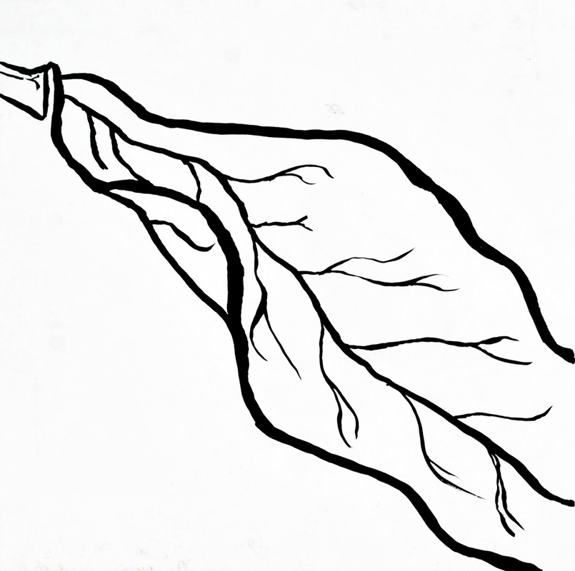 805x800 Examples Of Contour Drawing