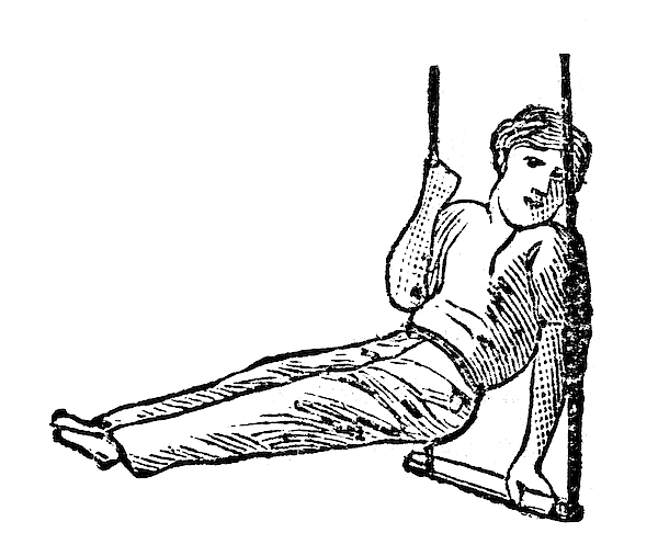 600x507 Antique Illustration Of Sports And Exercises Artistic Gymnastic