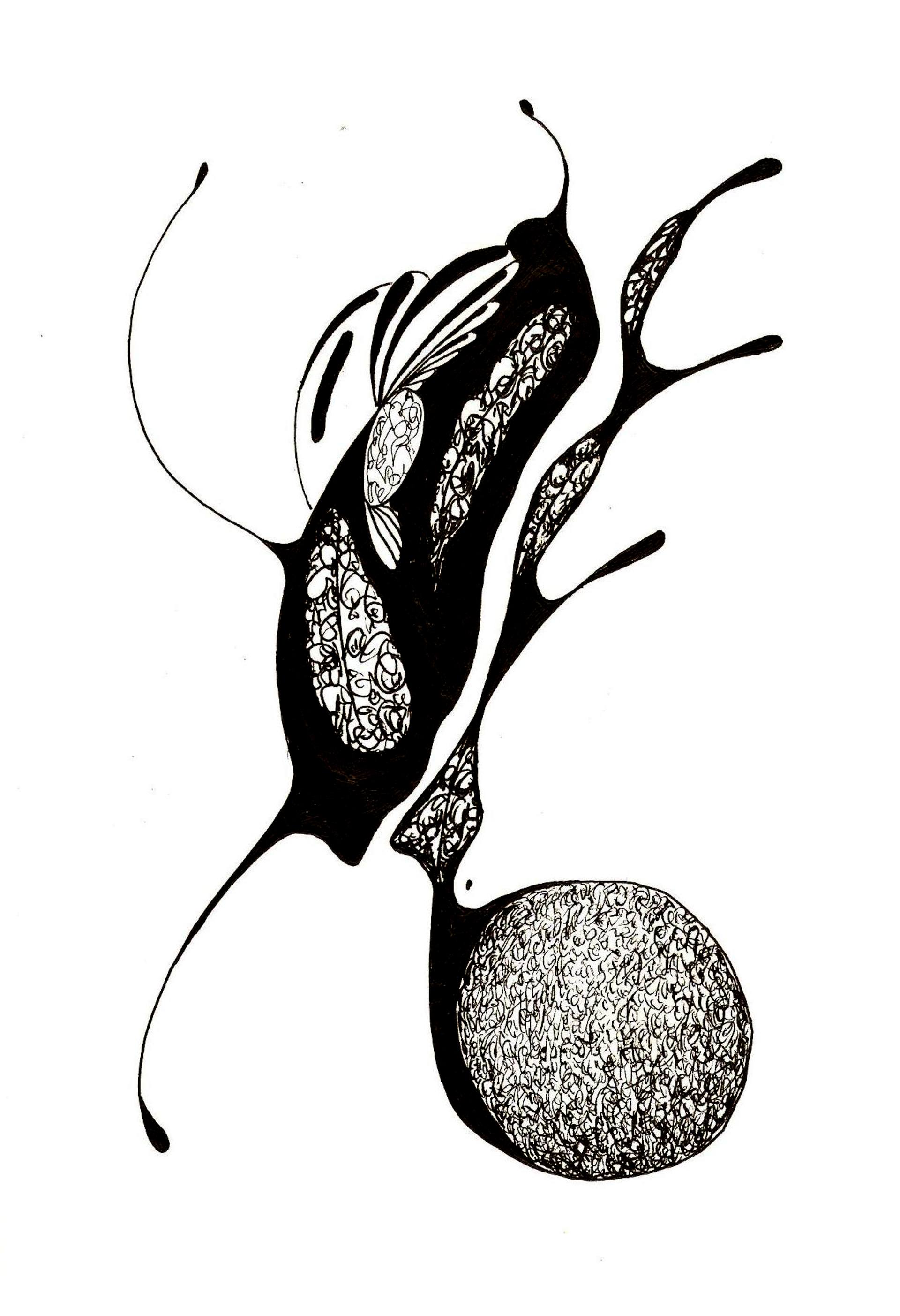 1920x2806 Sketch Drawing