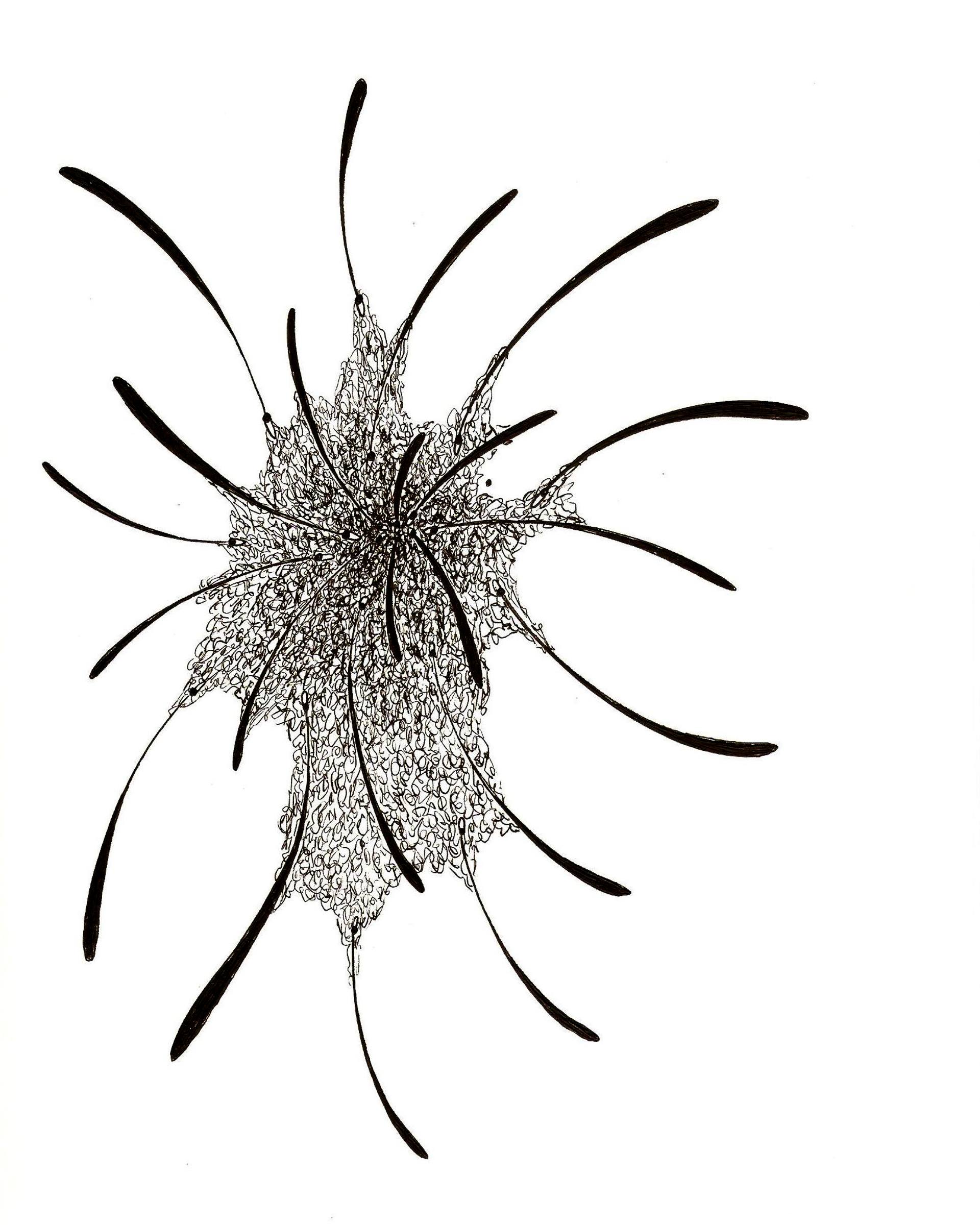 1920x2400 Sketch Drawing