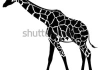 200x140 Vector Art Outline Icon Giraffe Clipart Drawing Latest