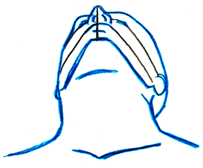 288x239 Figure Drawing