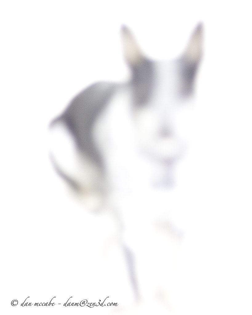 819x1024 Not Fade Away Dan Mccabe This Is Not Photoshopped! This