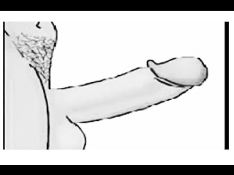 480x360 funny dirty drawing fails funny dirty drawing